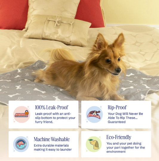 PetHome - Routine Pad